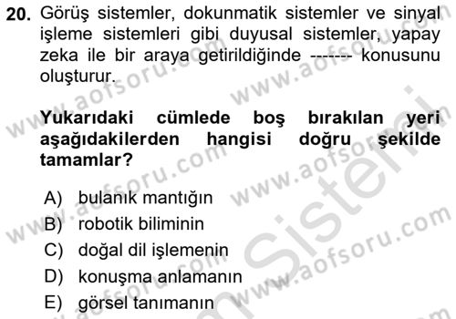 Karar Destek Sistemleri Dersi 2023 - 2024 Yılı (Final) Dönem Sonu Sınavı 20. Soru