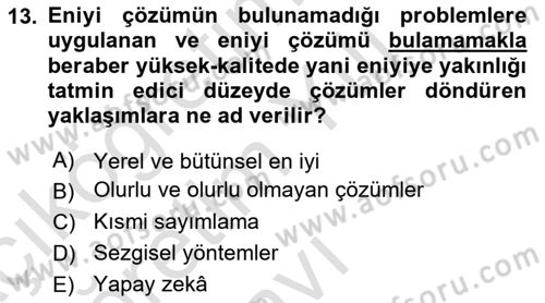 Karar Destek Sistemleri Dersi 2023 - 2024 Yılı Yaz Okulu Sınav Soruları 13. Soru