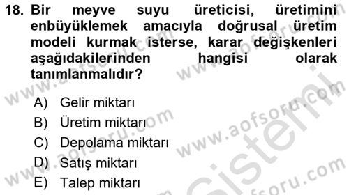 Karar Destek Sistemleri Dersi 2024 - 2025 Yılı (Vize) Ara Sınav Soruları 18. Soru