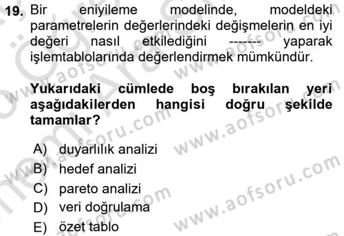 Karar Destek Sistemleri Dersi 2024 - 2025 Yılı (Vize) Ara Sınav Soruları 19. Soru