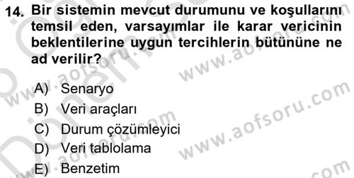 Karar Destek Sistemleri Dersi 2024 - 2025 Yılı (Final) Dönem Sonu Sınav Soruları 14. Soru