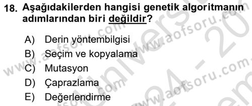 Karar Destek Sistemleri Dersi 2024 - 2025 Yılı (Final) Dönem Sonu Sınav Soruları 18. Soru