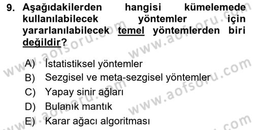Karar Destek Sistemleri Dersi 2024 - 2025 Yılı (Final) Dönem Sonu Sınav Soruları 9. Soru