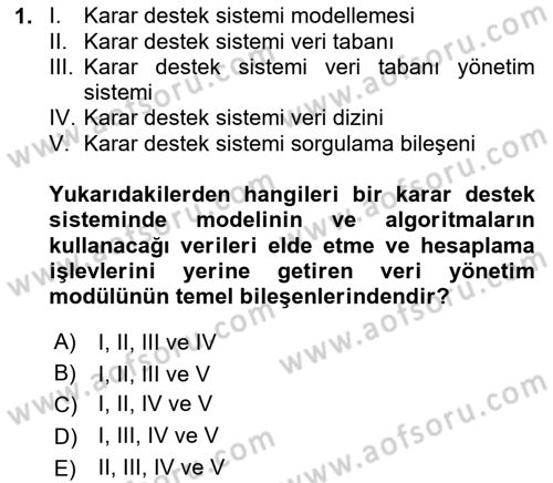 Karar Destek Sistemleri Dersi 2024 - 2025 Yılı Yaz Okulu Sınav Soruları 1. Soru