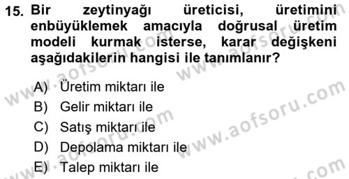 Karar Destek Sistemleri Dersi 2025 - 2026 Yılı (Vize) Ara Sınav Soruları 15. Soru