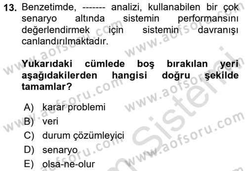 Karar Destek Sistemleri Dersi 2025 - 2026 Yılı (Final) Dönem Sonu Sınav Soruları 13. Soru