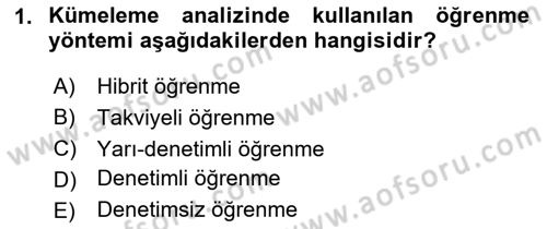 Veri Madenciliği Dersi 2024 - 2025 Yılı (Vize) Ara Sınav Soruları 1. Soru