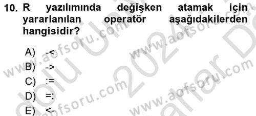Veri Madenciliği Dersi 2024 - 2025 Yılı (Vize) Ara Sınav Soruları 10. Soru