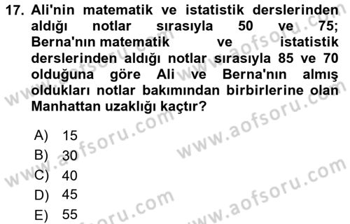 Veri Madenciliği Dersi 2024 - 2025 Yılı (Vize) Ara Sınav Soruları 17. Soru