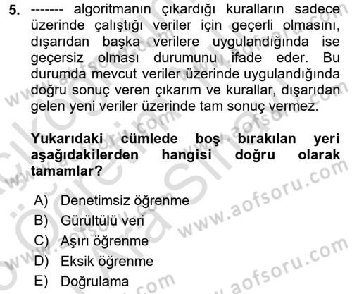 Veri Madenciliği Dersi 2024 - 2025 Yılı (Vize) Ara Sınav Soruları 5. Soru