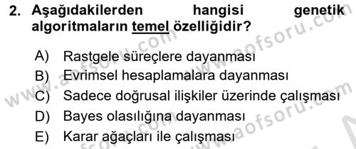 Veri Madenciliği Dersi 2024 - 2025 Yılı (Final) Dönem Sonu Sınav Soruları 2. Soru