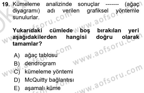 Veri Madenciliği Dersi 2024 - 2025 Yılı Yaz Okulu Sınav Soruları 19. Soru