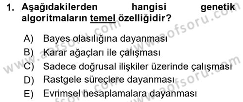Veri Madenciliği Dersi 2025 - 2026 Yılı Yaz Okulu Sınav Soruları 1. Soru