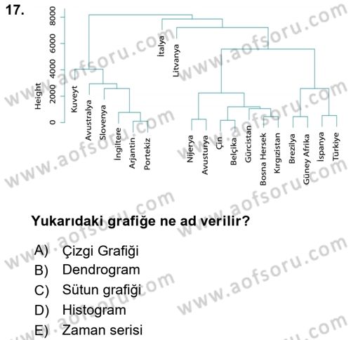 Veri Madenciliği Dersi 2025 - 2026 Yılı Yaz Okulu Sınav Soruları 17. Soru