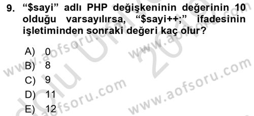 İnternet Ve Web Programlama Dersi 2018 - 2019 Yılı 3 Ders Sınav Soruları 9. Soru
