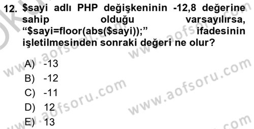 İnternet Ve Web Programlama Dersi 2018 - 2019 Yılı Yaz Okulu Sınav Soruları 12. Soru