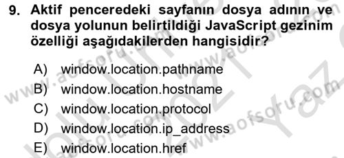 İnternet Ve Web Programlama Dersi 2021 - 2022 Yılı Yaz Okulu Sınav Soruları 9. Soru
