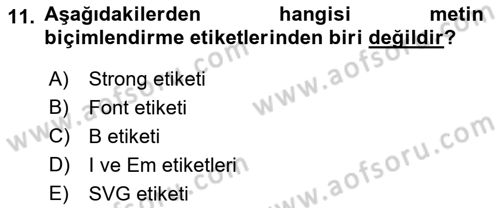 İnternet Ve Web Programlama Dersi 2022 - 2023 Yılı (Vize) Ara Sınav Soruları 11. Soru
