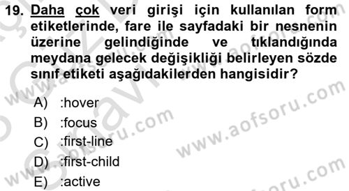 İnternet Ve Web Programlama Dersi 2022 - 2023 Yılı (Vize) Ara Sınav Soruları 19. Soru