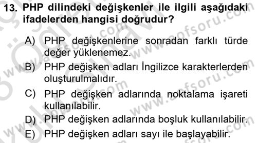 İnternet Ve Web Programlama Dersi 2022 - 2023 Yılı Yaz Okulu Sınav Soruları 13. Soru