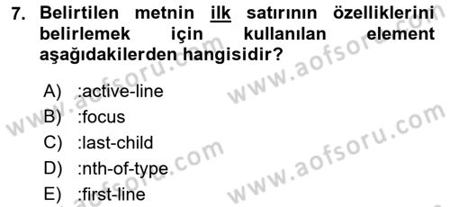 İnternet Ve Web Programlama Dersi 2022 - 2023 Yılı Yaz Okulu Sınav Soruları 7. Soru