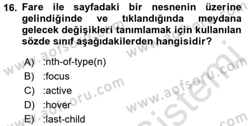 İnternet Ve Web Programlama Dersi 2023 - 2024 Yılı (Vize) Ara Sınav Soruları 16. Soru