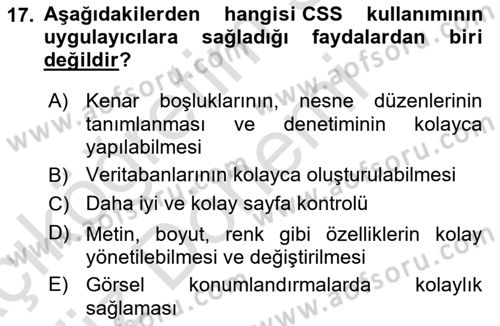 İnternet Ve Web Programlama Dersi 2023 - 2024 Yılı (Vize) Ara Sınav Soruları 17. Soru