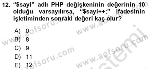 İnternet Ve Web Programlama Dersi 2023 - 2024 Yılı (Final) Dönem Sonu Sınav Soruları 12. Soru