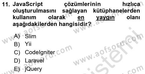 İnternet Ve Web Programlama Dersi 2023 - 2024 Yılı Yaz Okulu Sınav Soruları 11. Soru