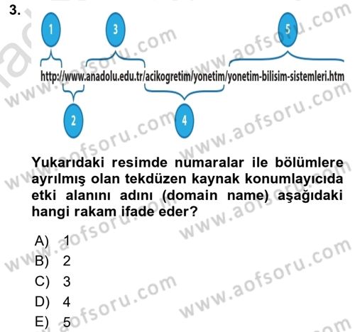 İnternet Ve Web Programlama Dersi 2023 - 2024 Yılı Yaz Okulu Sınav Soruları 3. Soru