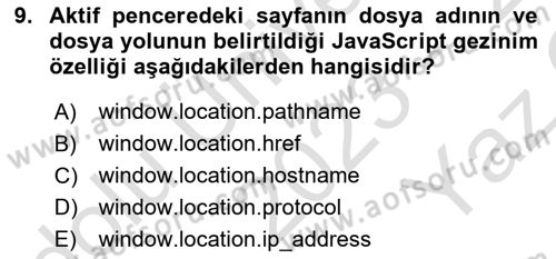 İnternet Ve Web Programlama Dersi 2023 - 2024 Yılı Yaz Okulu Sınav Soruları 9. Soru