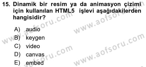 İnternet Ve Web Programlama Dersi 2024 - 2025 Yılı (Vize) Ara Sınavı 15. Soru