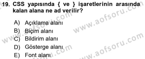 İnternet Ve Web Programlama Dersi 2024 - 2025 Yılı (Vize) Ara Sınavı 19. Soru