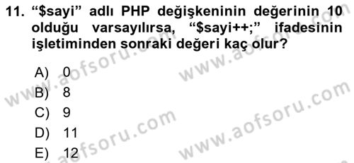 İnternet Ve Web Programlama Dersi 2024 - 2025 Yılı (Final) Dönem Sonu Sınav Soruları 11. Soru