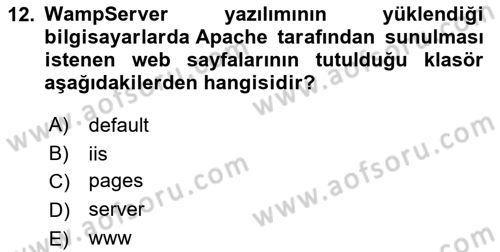İnternet Ve Web Programlama Dersi 2024 - 2025 Yılı (Final) Dönem Sonu Sınav Soruları 12. Soru