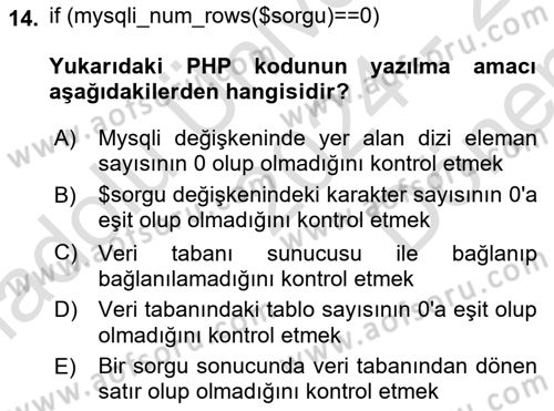 İnternet Ve Web Programlama Dersi 2024 - 2025 Yılı (Final) Dönem Sonu Sınav Soruları 14. Soru