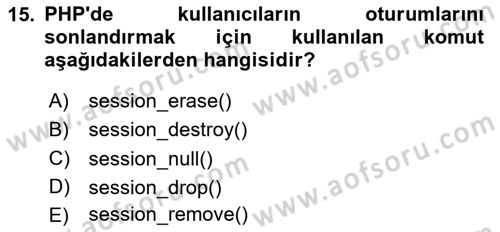 İnternet Ve Web Programlama Dersi 2024 - 2025 Yılı (Final) Dönem Sonu Sınav Soruları 15. Soru