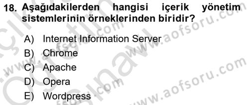 İnternet Ve Web Programlama Dersi 2024 - 2025 Yılı Yaz Okulu Sınav Soruları 18. Soru