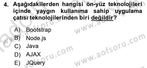 İnternet Ve Web Programlama Dersi 2024 - 2025 Yılı Yaz Okulu Sınav Soruları 4. Soru