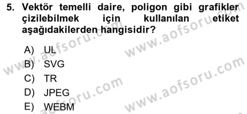 İnternet Ve Web Programlama Dersi 2024 - 2025 Yılı Yaz Okulu Sınav Soruları 5. Soru