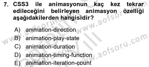 İnternet Ve Web Programlama Dersi 2024 - 2025 Yılı Yaz Okulu Sınav Soruları 7. Soru