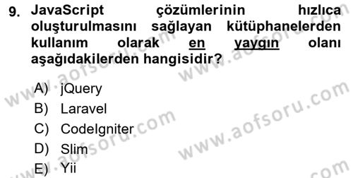 İnternet Ve Web Programlama Dersi 2024 - 2025 Yılı Yaz Okulu Sınav Soruları 9. Soru