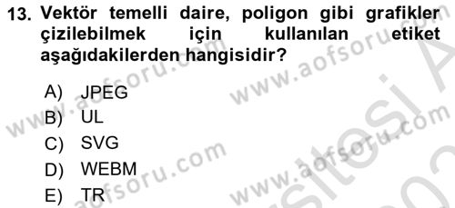 İnternet Ve Web Programlama Dersi 2025 - 2026 Yılı (Vize) Ara Sınav Soruları 13. Soru