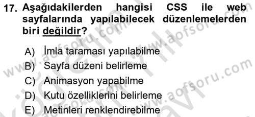 İnternet Ve Web Programlama Dersi 2025 - 2026 Yılı (Vize) Ara Sınav Soruları 17. Soru