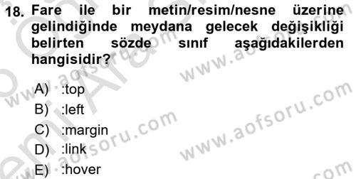 İnternet Ve Web Programlama Dersi 2025 - 2026 Yılı (Vize) Ara Sınav Soruları 18. Soru