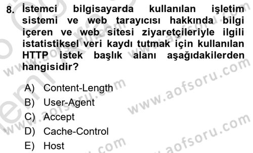 İnternet Ve Web Programlama Dersi 2025 - 2026 Yılı (Vize) Ara Sınav Soruları 8. Soru