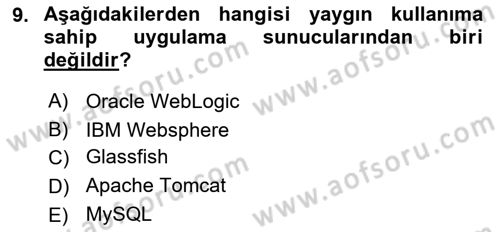 İnternet Ve Web Programlama Dersi 2025 - 2026 Yılı (Vize) Ara Sınav Soruları 9. Soru