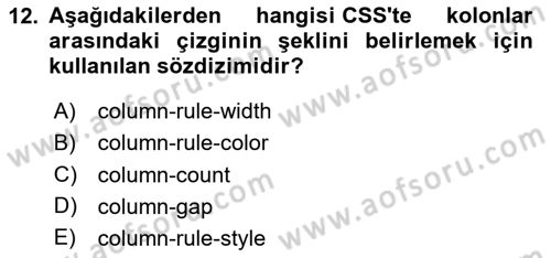 Programlamada Yeni Eğilimler Dersi 2023 - 2024 Yılı (Vize) Ara Sınav Soruları 12. Soru