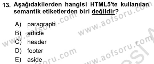 Programlamada Yeni Eğilimler Dersi 2024 - 2025 Yılı (Vize) Ara Sınav Soruları 13. Soru