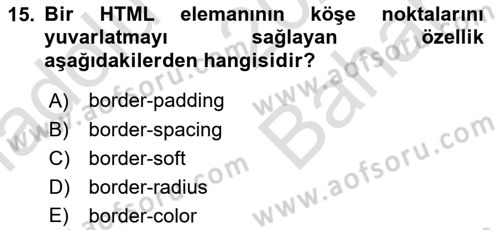 Programlamada Yeni Eğilimler Dersi 2024 - 2025 Yılı (Vize) Ara Sınav Soruları 15. Soru